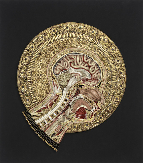 paper head http lisanilssonart com