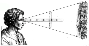 seeing the forest w eye-line stick-macrocosmi-bw-horiz