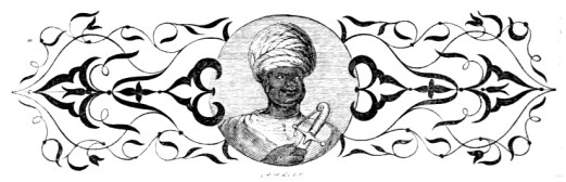 top african portrait-thousandonenight02laneiala_0458